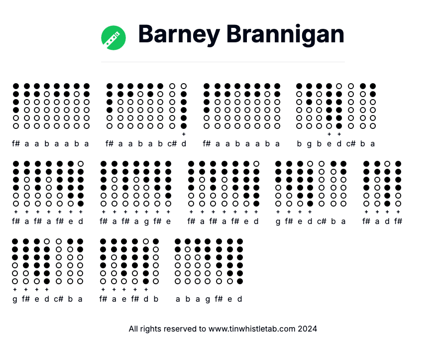 Image of Barney Brannigan Tin Whistle Tabs