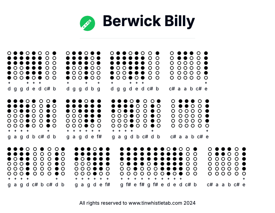 Image of Berwick Billy Tin Whistle Tabs