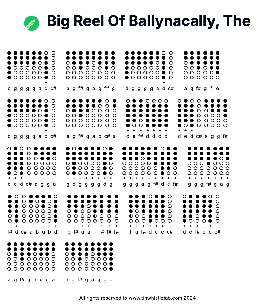 Image of Big Reel Of Ballynacally, The Tin Whistle Tabs