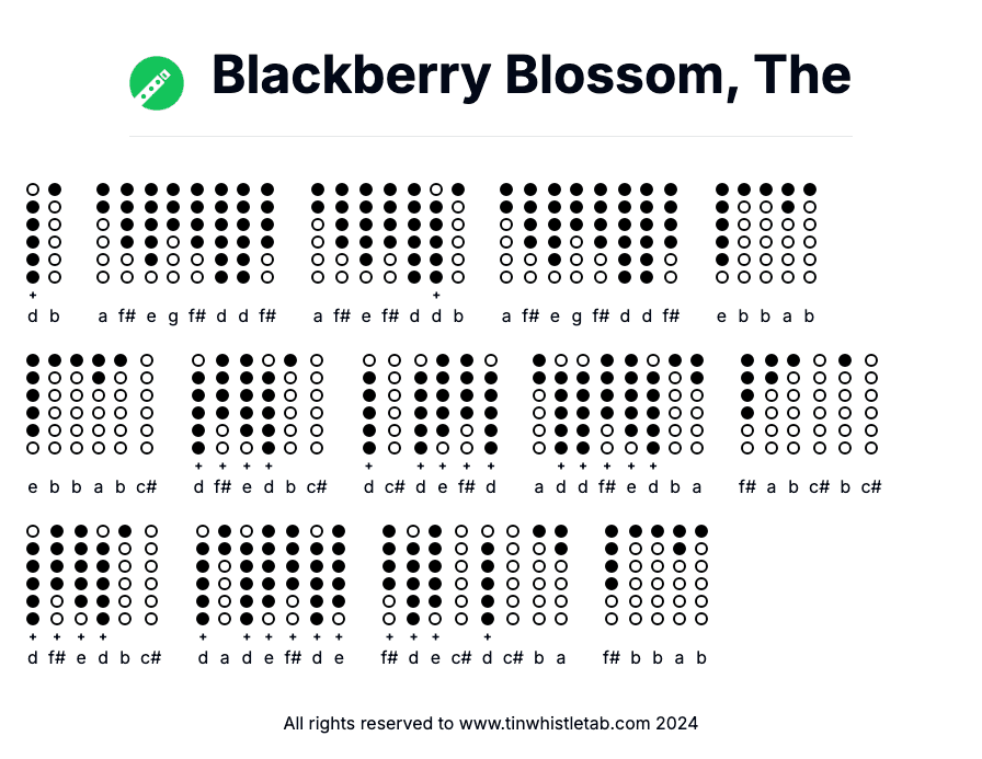 Image of Blackberry Blossom, The Tin Whistle Tabs