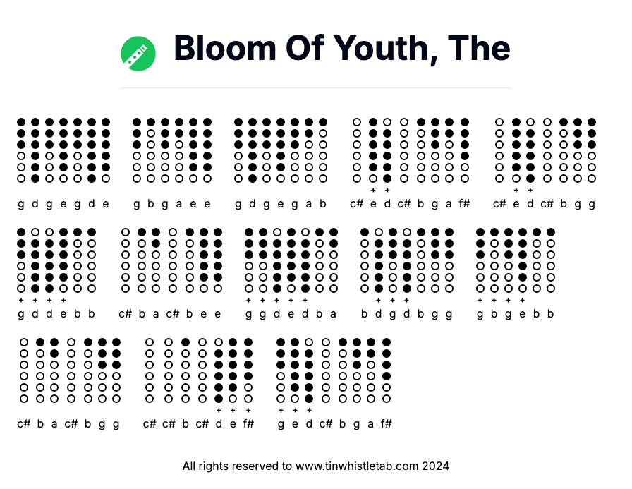 Image of Bloom Of Youth, The Tin Whistle Tabs