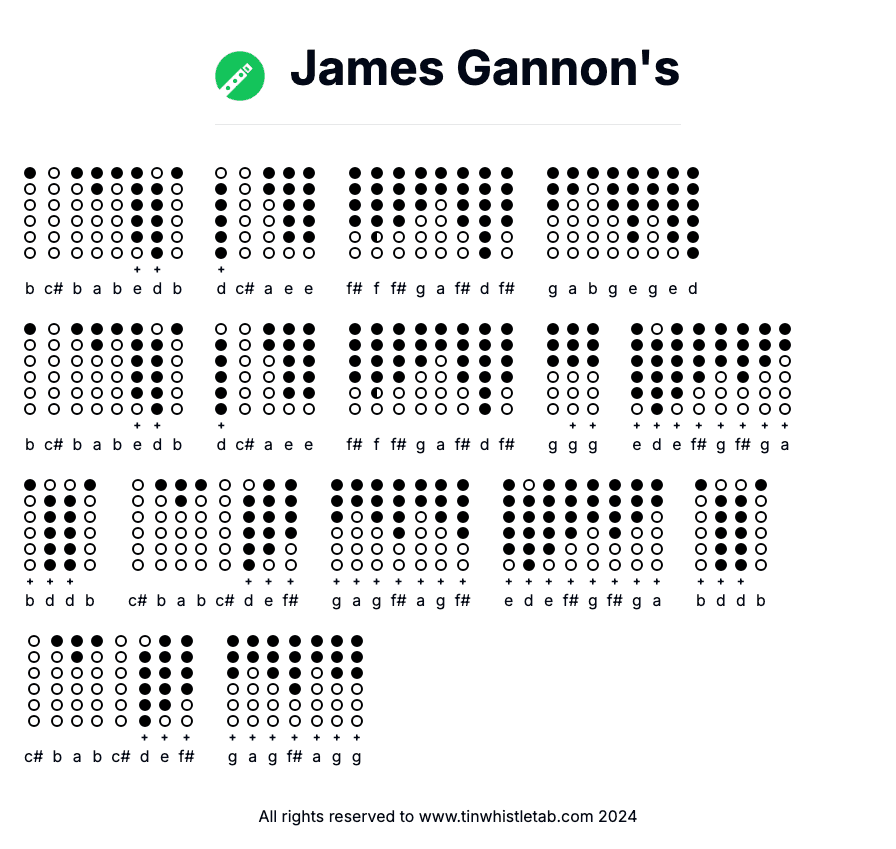 Image of James Gannon's Tin Whistle Tabs