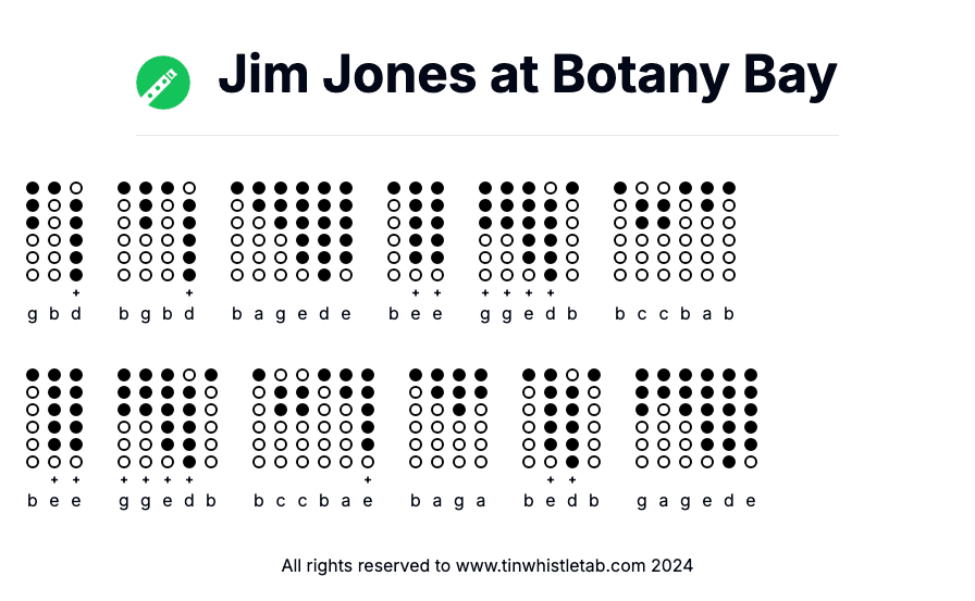 Image of Jim Jones at Botany Bay Tin Whistle Tabs