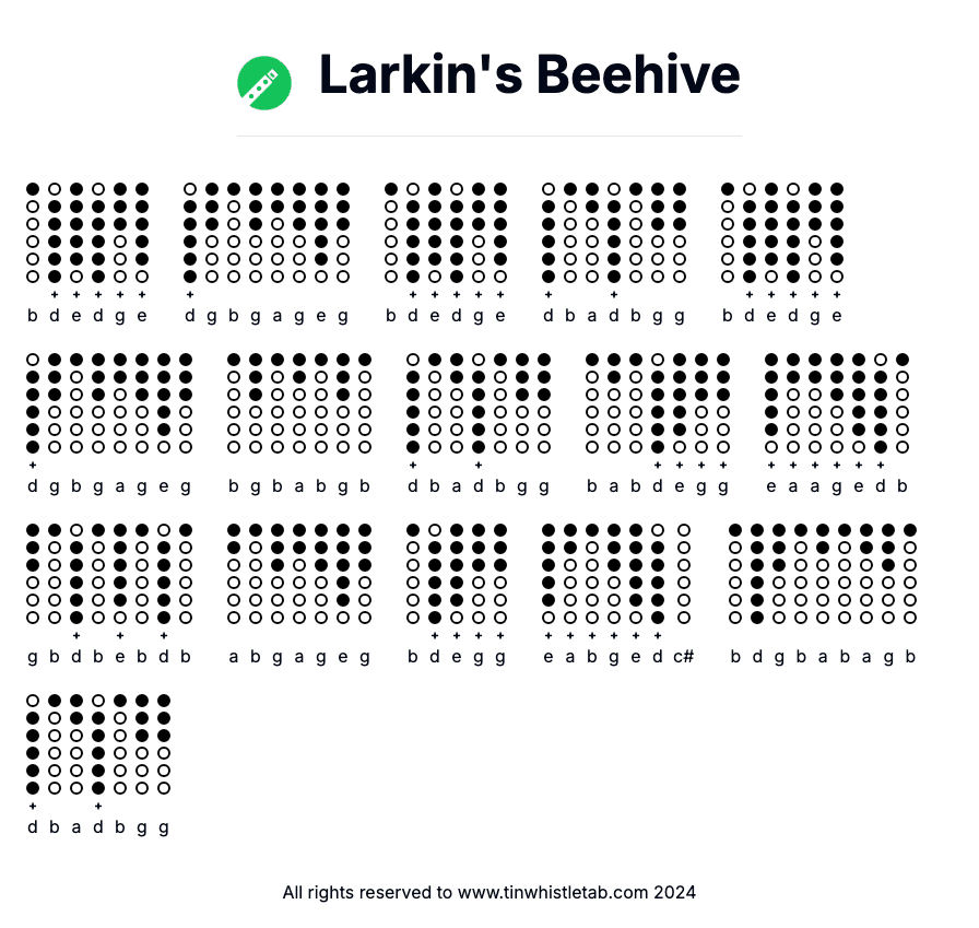 Image of Larkin's Beehive Tin Whistle Tabs