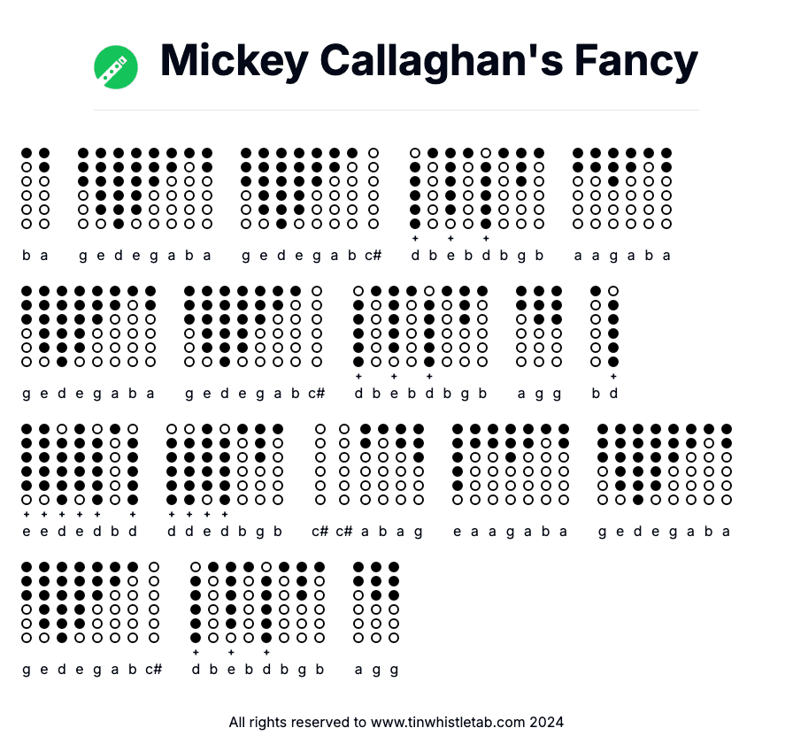 Image of Mickey Callaghan's Fancy Tin Whistle Tabs