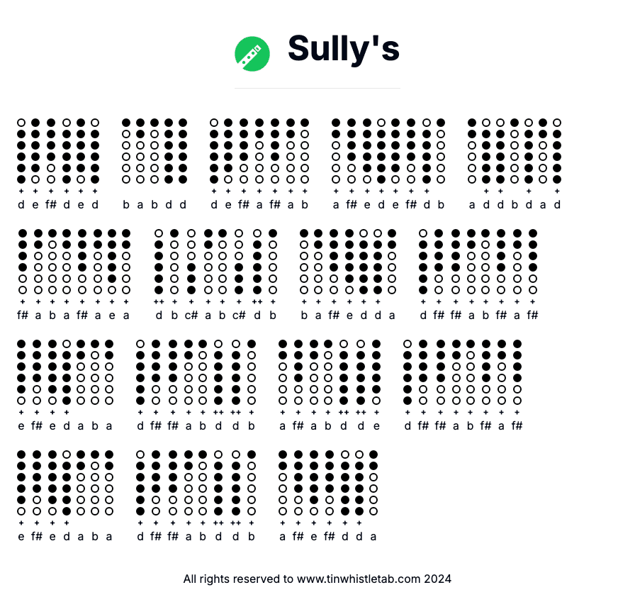 Image of Sully's Tin Whistle Tabs