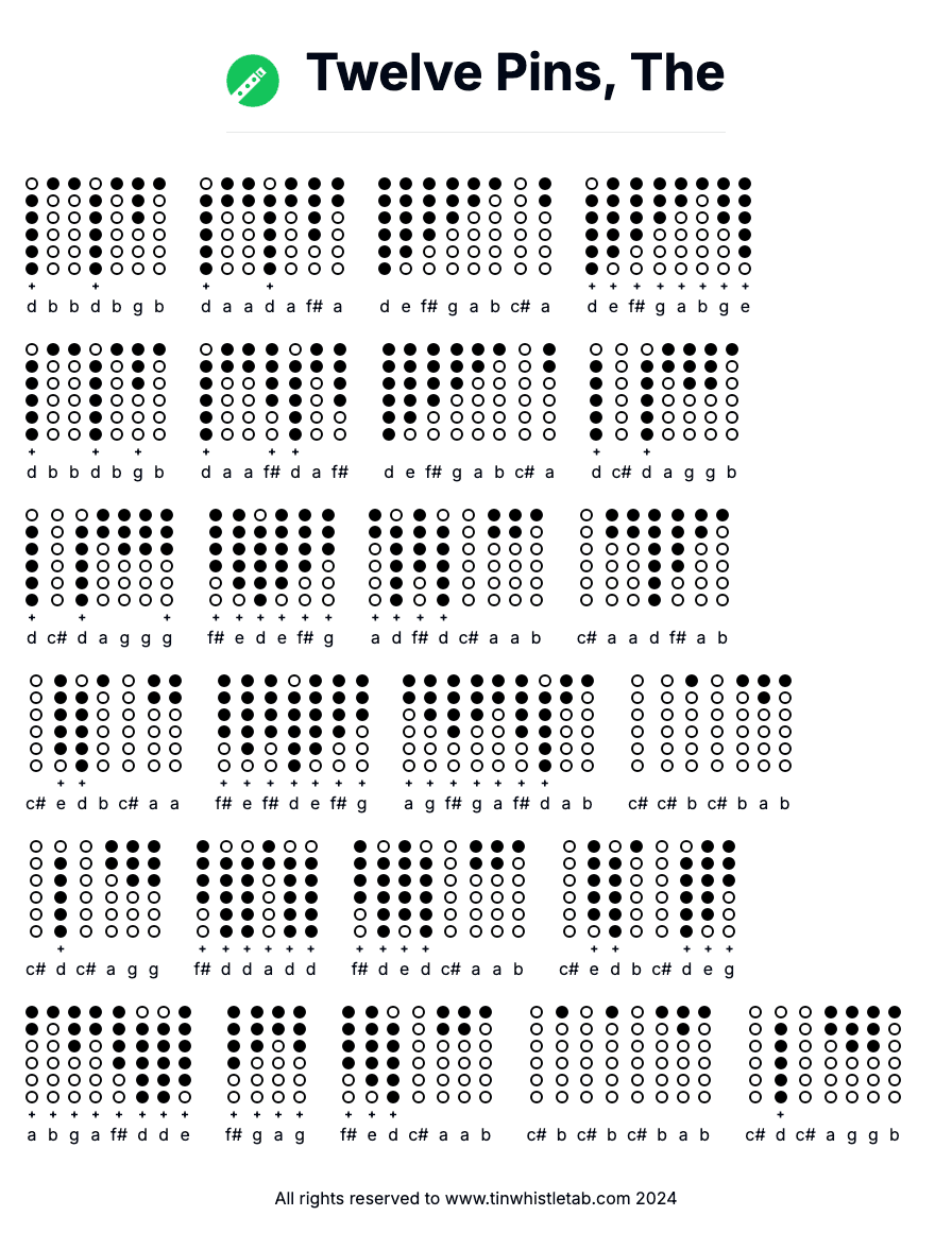 Image of Twelve Pins, The Tin Whistle Tabs