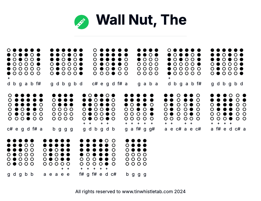 Image of Wall Nut, The Tin Whistle Tabs