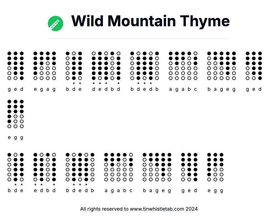 Image of Wild Mountain Thyme Tin Whistle Tabs